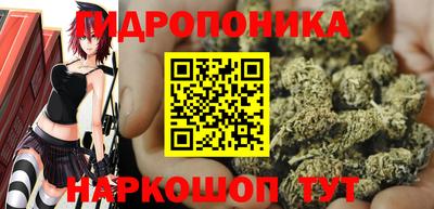 прущие крисы Партизанск